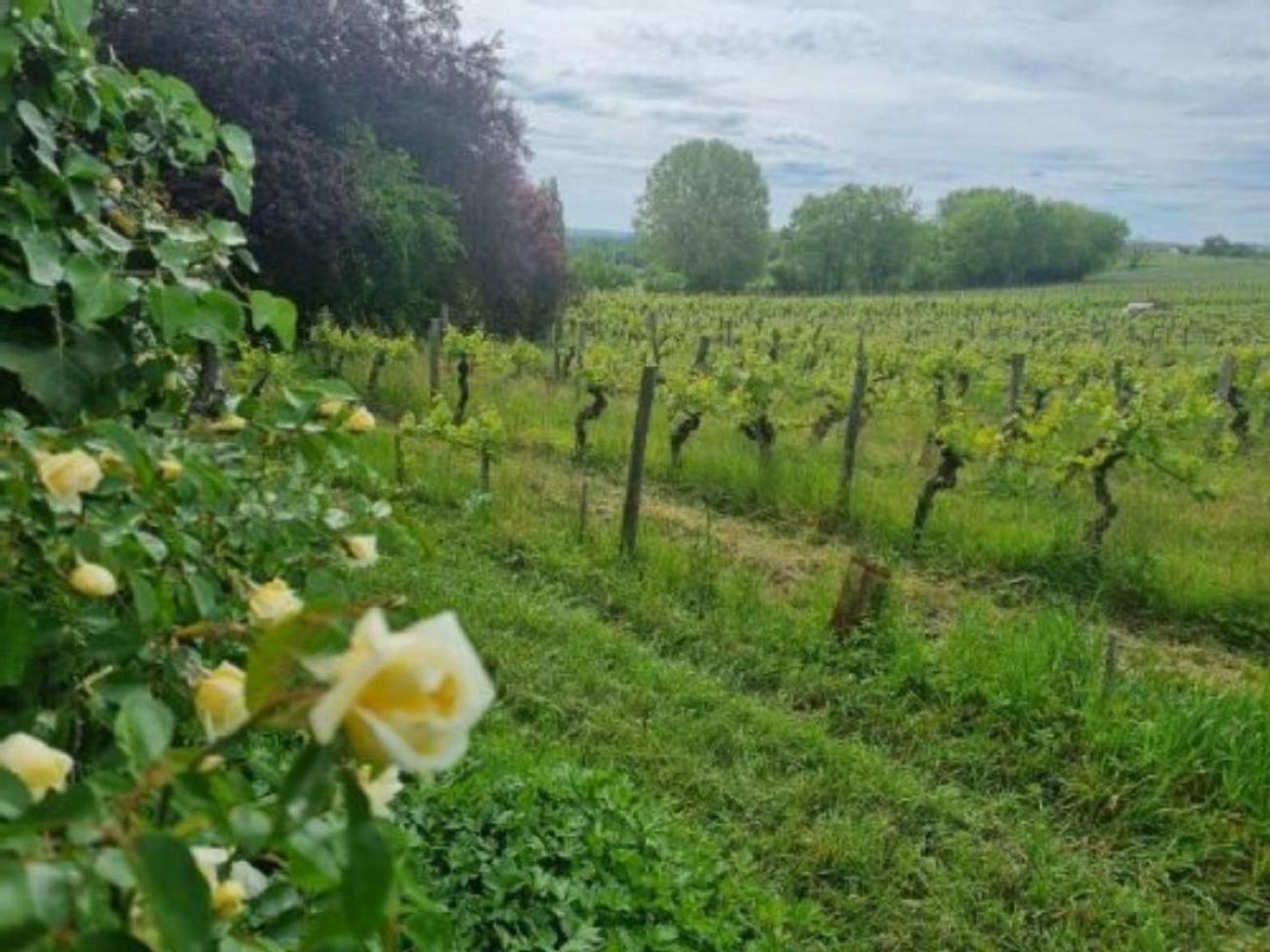 Bed and Breakfast L'Esprit Du 24 Rouffignac-de-Sigoules Zewnętrze zdjęcie
